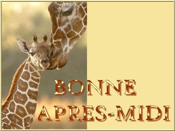 girafe_etgirafon_apresmidibonne_1.jpg