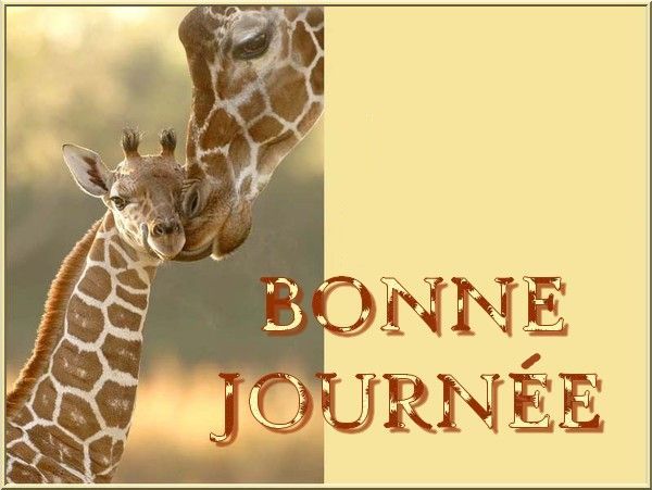 girafe_etgirafon_bonnejournee_1.jpg