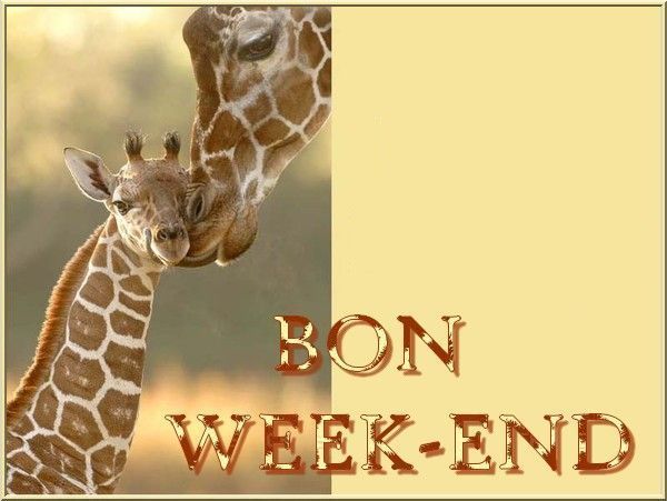 girafe_etgirafon_bonweekend_1.jpg