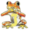 grenouille-030344995568-10.gif