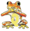 grenouille-030344995568-17.gif