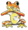 grenouille-030344995568-3.gif