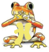 grenouille-030344995568-8.gif