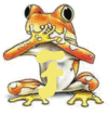 grenouille-540450545454fdf-6.gif