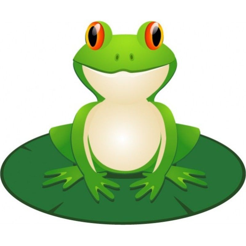 grenouille-5554554566666.jpg