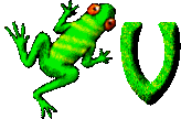 grenouille-6567-22.gif