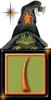 grenouille-734823292994444-9.jpg