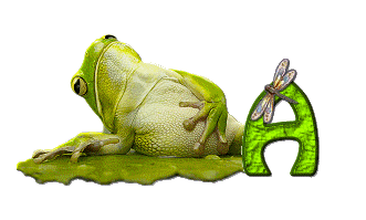 grenouille-876897-1.gif