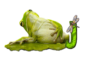 grenouille-876897-10.gif