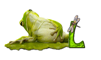 grenouille-876897-12.gif
