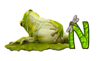 grenouille-876897-14.gif