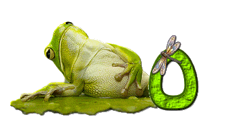 grenouille-876897-15.gif