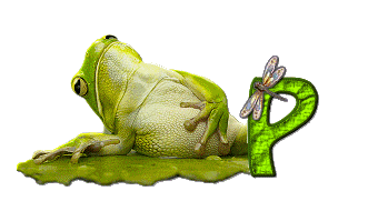 grenouille-876897-16.gif