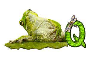 grenouille-876897-17.gif