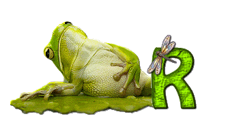 grenouille-876897-18.gif
