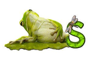 grenouille-876897-19.gif