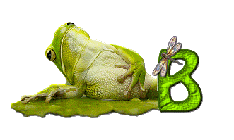 grenouille-876897-2.gif