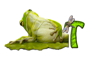 grenouille-876897-20.gif