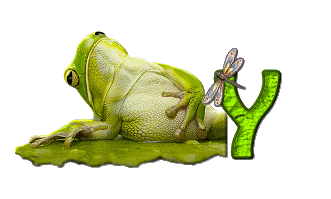 grenouille-876897-25.gif