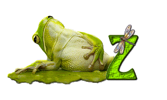 grenouille-876897-26.gif