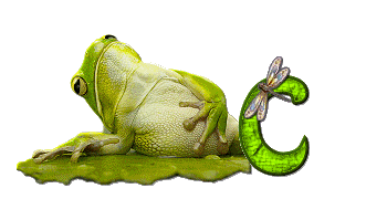 grenouille-876897-3.gif