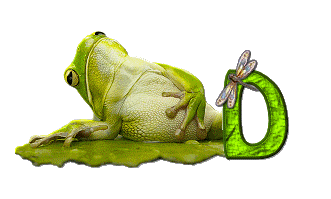 grenouille-876897-4.gif