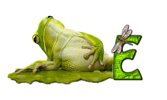 grenouille-876897-5.gif