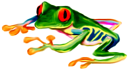 grenouille-98.gif