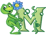 grenouille438548854854845845-13.gif
