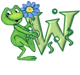 grenouille438548854854845845-23.gif