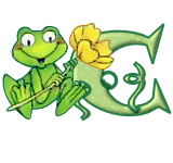 grenouille438548854854845845-3.gif