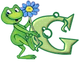 grenouille438548854854845845-7.gif