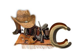 hat8789898-3.png