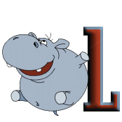 hippo-00897876656565-12.jpg