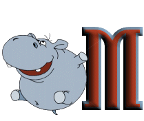 hippo-00897876656565-13.jpg