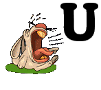 hippo-9889-21.gif