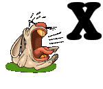 hippo-9889-24.gif
