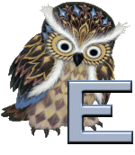 hoot_hoot_gr-UC-5.gif