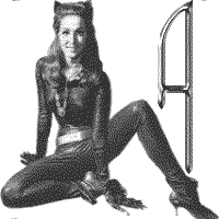 jkt-julie-newmar-A.gif