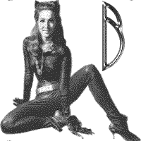 jkt-julie-newmar-B.gif