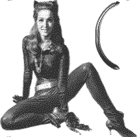 jkt-julie-newmar-C.gif