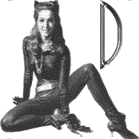 jkt-julie-newmar-D.gif