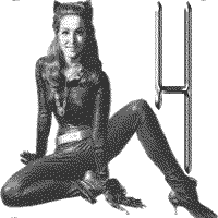 jkt-julie-newmar-H.gif