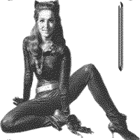 jkt-julie-newmar-I.gif