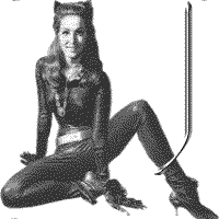 jkt-julie-newmar-J.gif