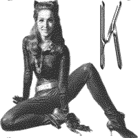 jkt-julie-newmar-K.gif