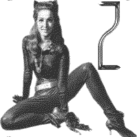 jkt-julie-newmar-Z.gif