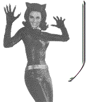 jkt-lee-meriwether-J.gif