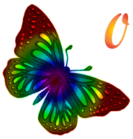 jsdd_colorfulbutterfly_0.gif