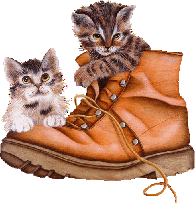 kittenboot.gif